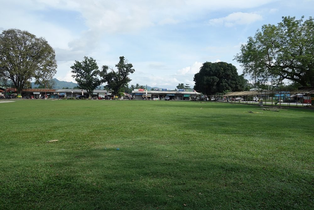 Lawn area with greenery prepared for an outdoor event